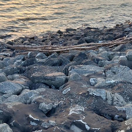 Luettje Koje Διαμέρισμα Breklum Εξωτερικό φωτογραφία
